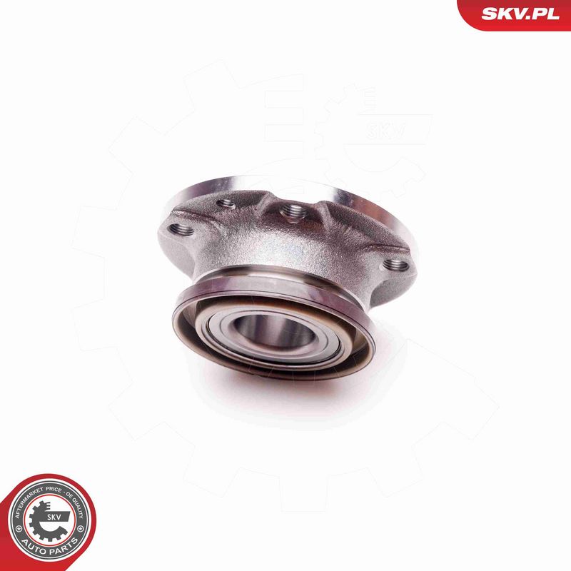 ESEN SKV 29SKV090 Wheel Bearing Kit