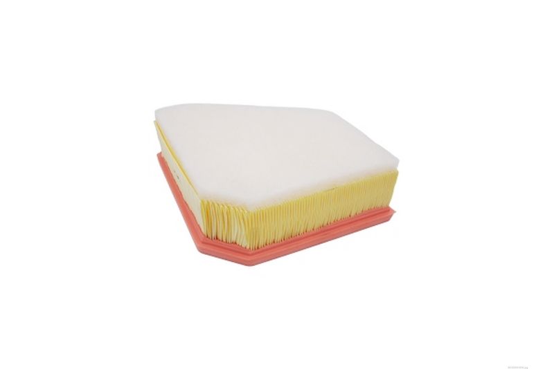 AUTOMEGA 250051010 Air Filter