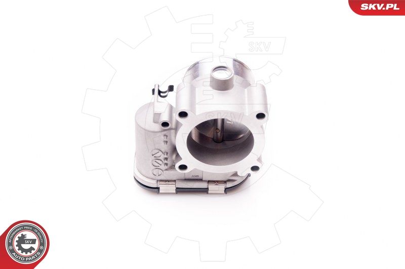 ESEN SKV 12SKV065 Throttle Body