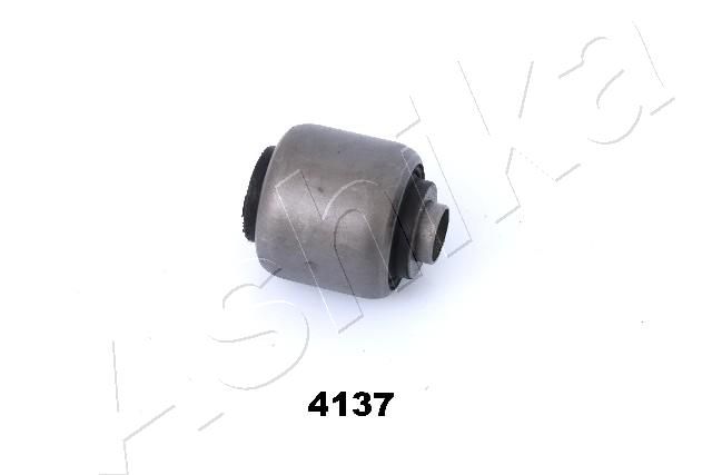GOM-4137_1.JPG