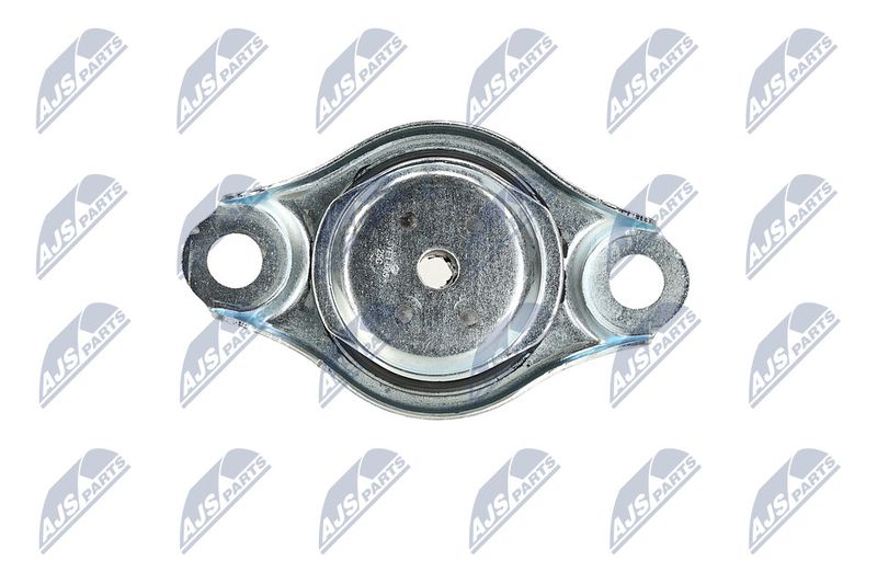 Paigutus, Mootor, NTY ZPS-FT-005