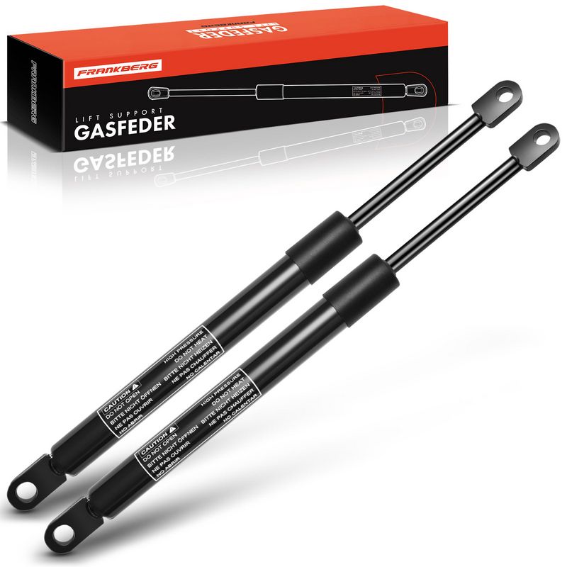Frankberg 5481FB0013473 - Gas Spring, bonnet