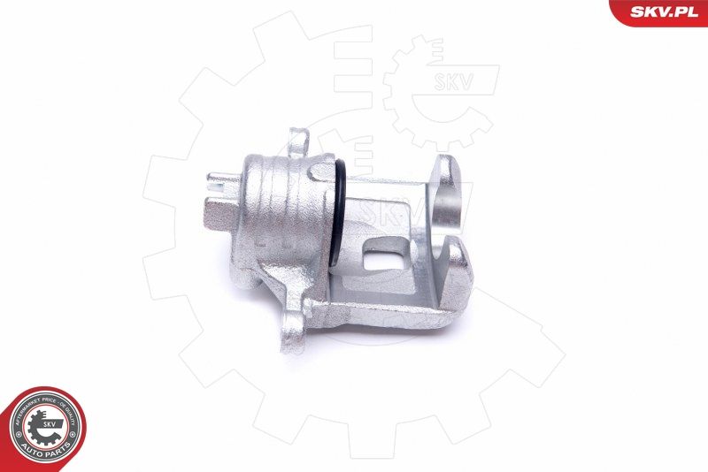 ESEN SKV 45SKV673 Brake Caliper