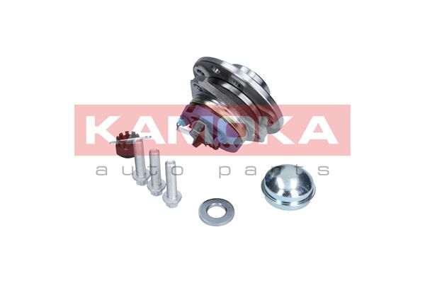 KAMOKA 5500059 Wheel Bearing Kit