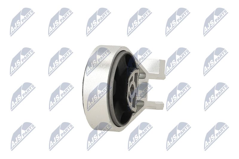 Paigutus, Mootor, NTY ZPS-PL-002
