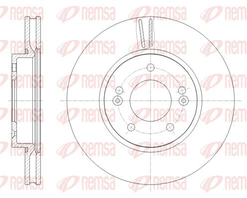 REM62080-10-MODEL.BMP