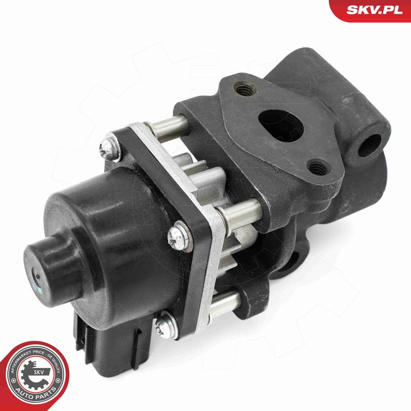 ESEN SKV 14SKV260 EGR Valve