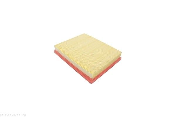 AUTOMEGA 250050710 Air Filter