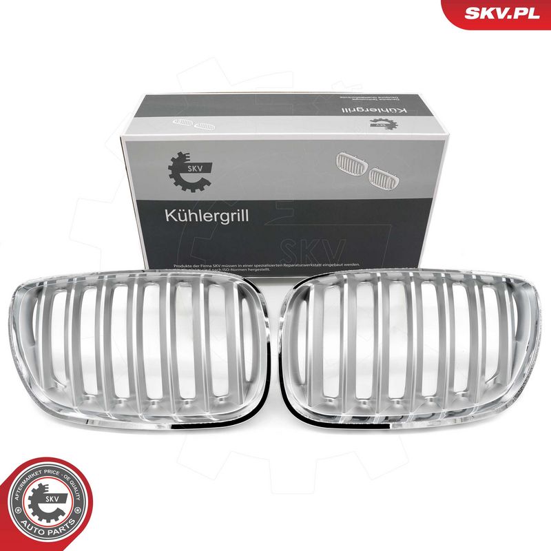 Radiaatorivõre, ESEN SKV 66SKV279