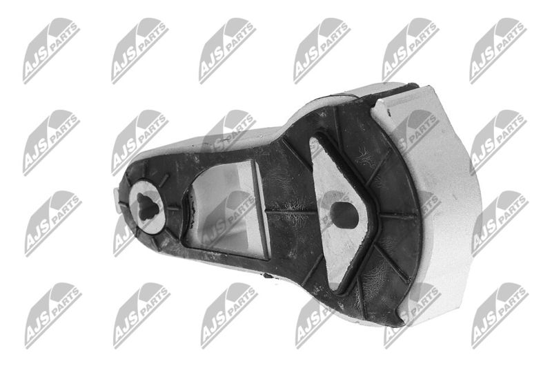 Paigutus, Mootor, NTY ZPS-FR-055