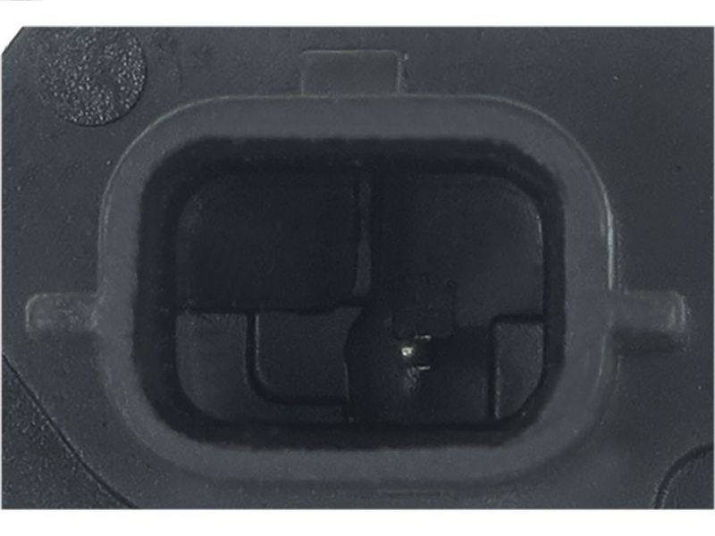 419085.JPG