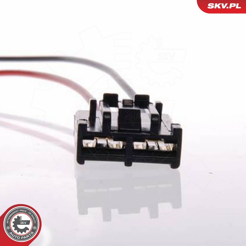 ESEN SKV 02SKV241 Fuel Pump