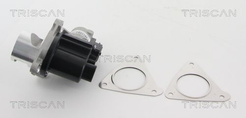 TRIS881343010_3.JPG