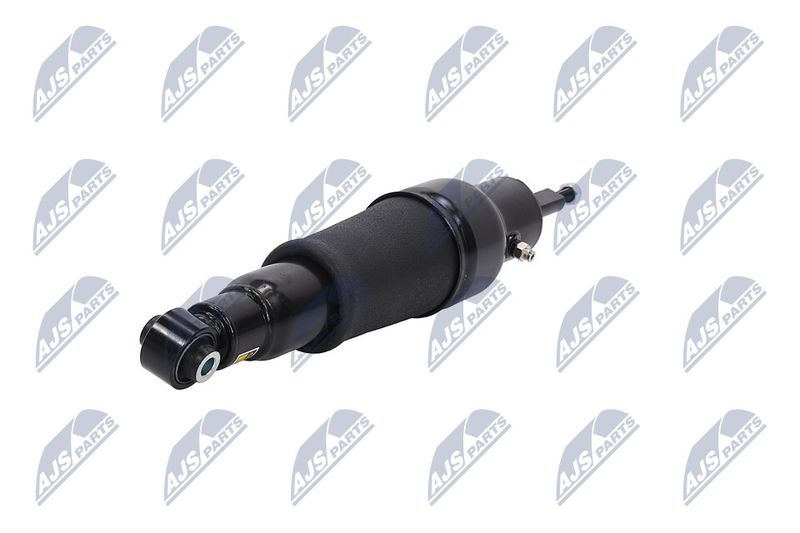 Amort, NTY A-NS-051