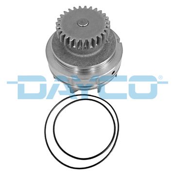 DP149.JPG