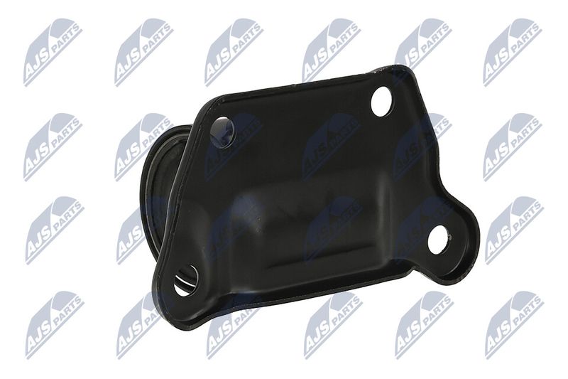 Paigutus, Mootor, NTY ZPS-MS-015