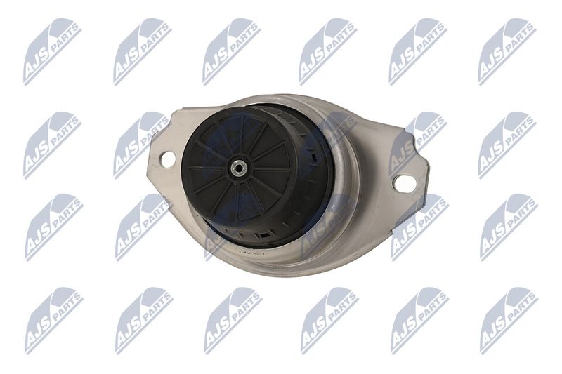 Paigutus, Mootor, NTY ZPS-LR-017