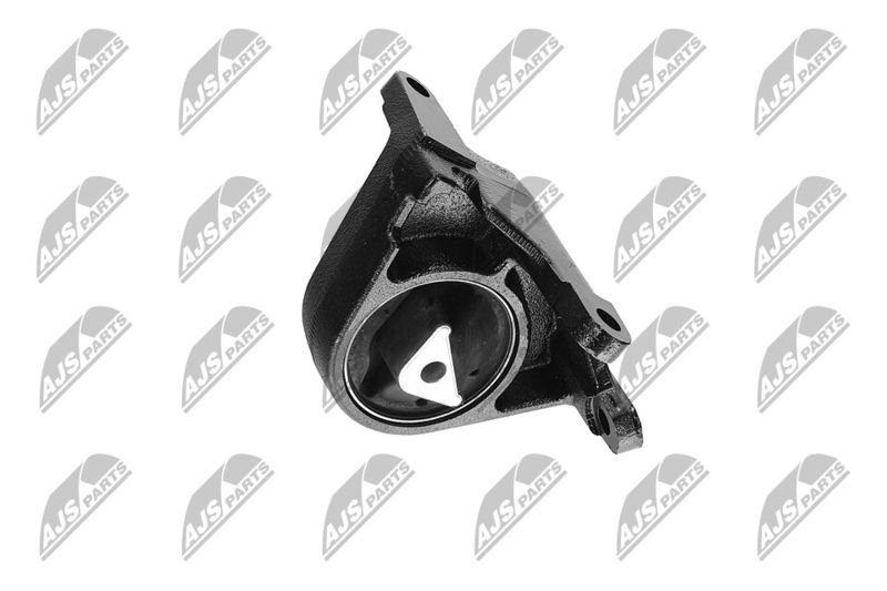 Paigutus, Mootor, NTY ZPS-CH-087