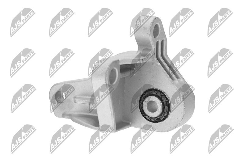 Paigutus, Mootor, NTY ZPS-FR-066