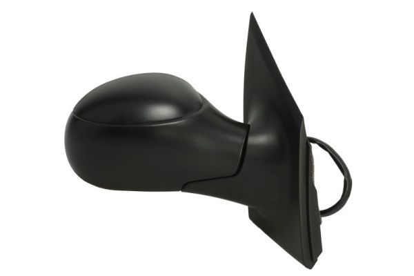 BLIC 5402-04-1131853P Exterior Mirror