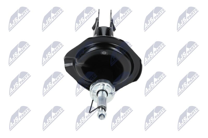 Amort, NTY A-MS-016