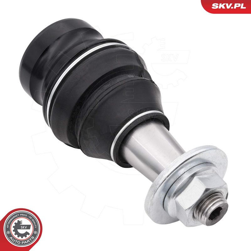 Kande-, juhtliigend, ESEN...