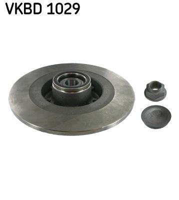 SKF Brake Disc VKBD 1029