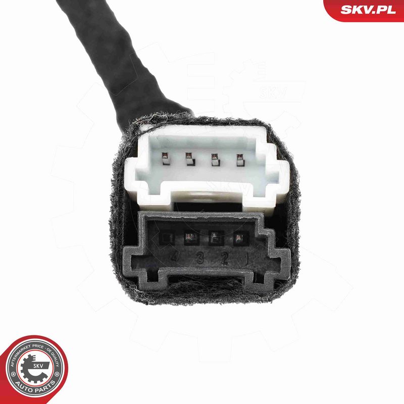 ESEN SKV 52SKV175 Electric Motor, tailgate
