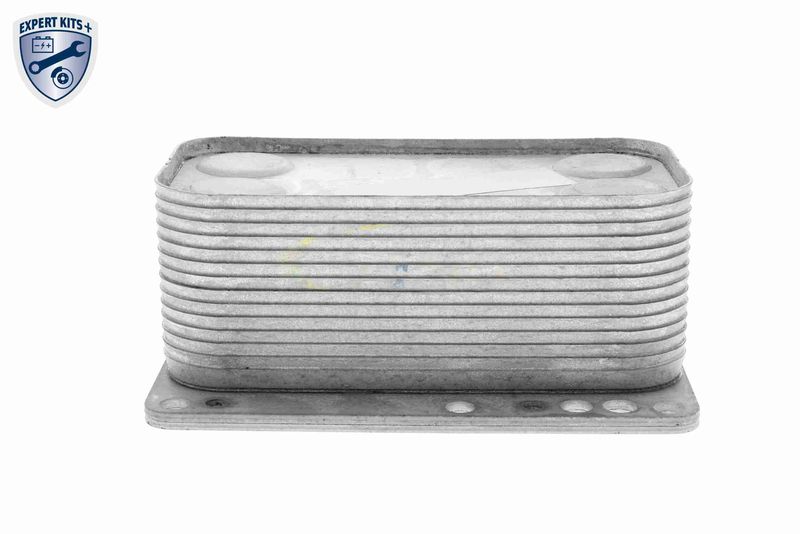 VEMO V46-60-0015 Oil Cooler, engine oil