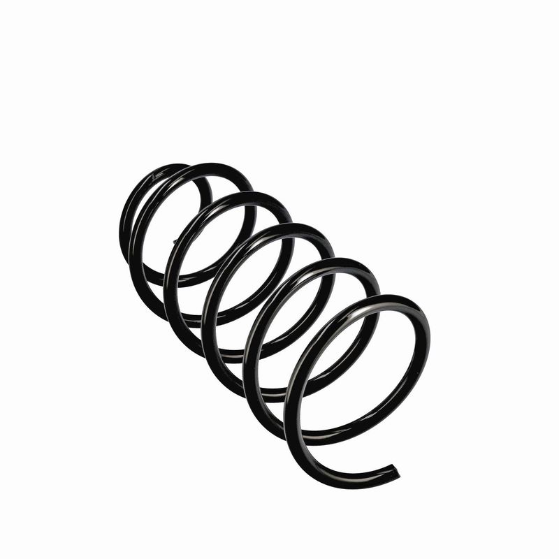 EIBACH R11016 Pakabos spyruoklė