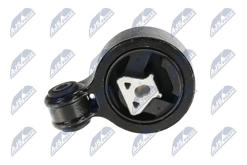 Paigutus, Mootor, NTY ZPS-CH-137