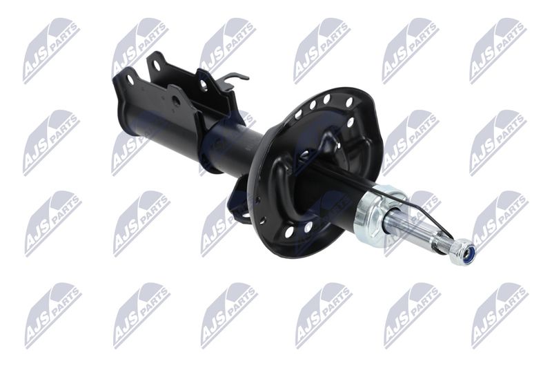 Amort, NTY A-PL-029