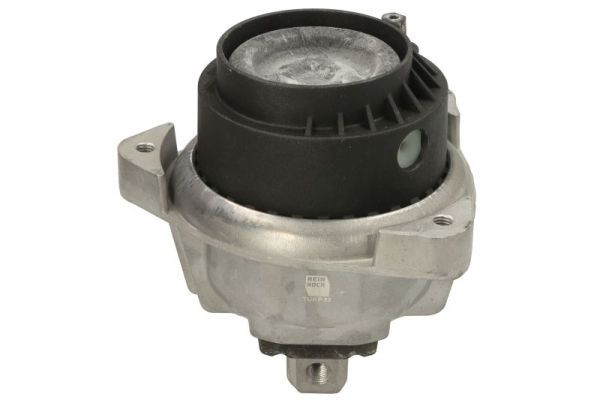 REINHOCH RH11-3167 Mounting, engine