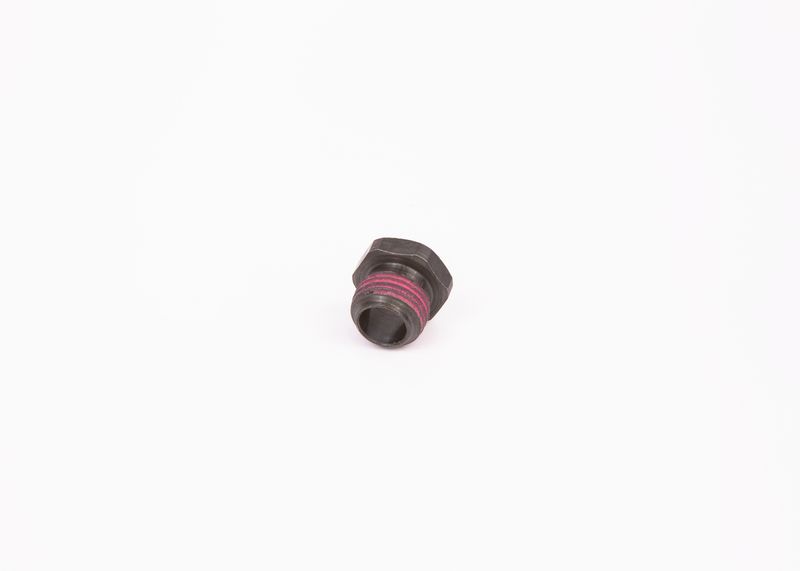 Surub 1 423 455 010 BOSCH