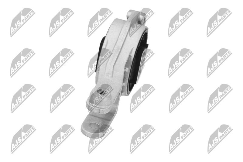 Paigutus, Mootor, NTY ZPS-PL-080