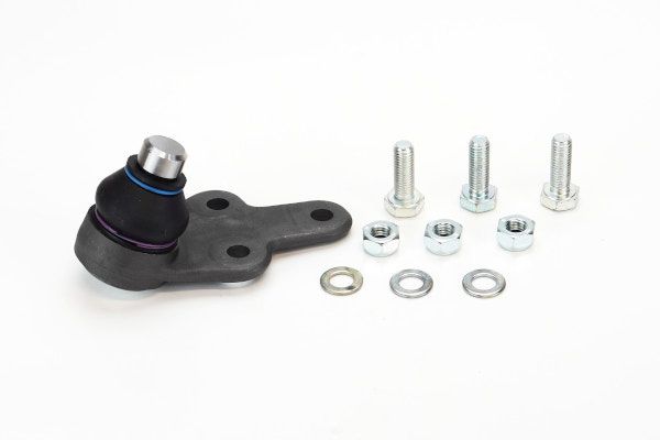 SUG1078.JPG