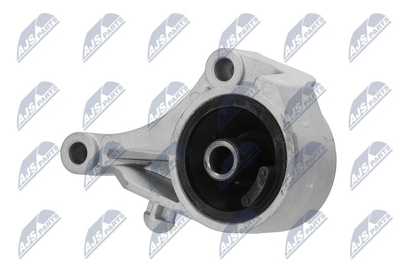 Paigutus, Mootor, NTY ZPS-PL-007