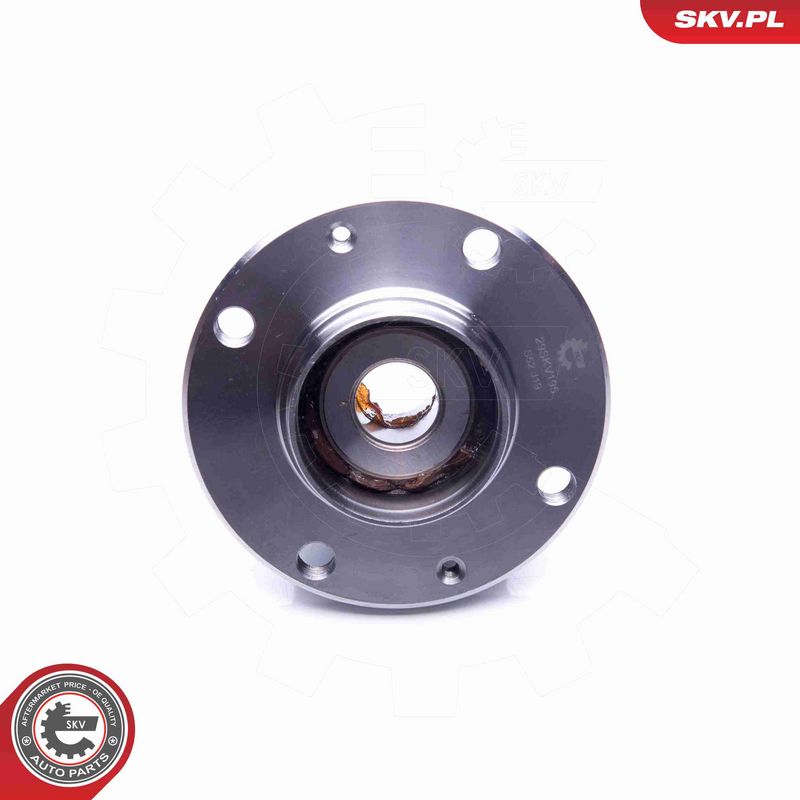 ESEN SKV 29SKV195 Wheel Bearing Kit