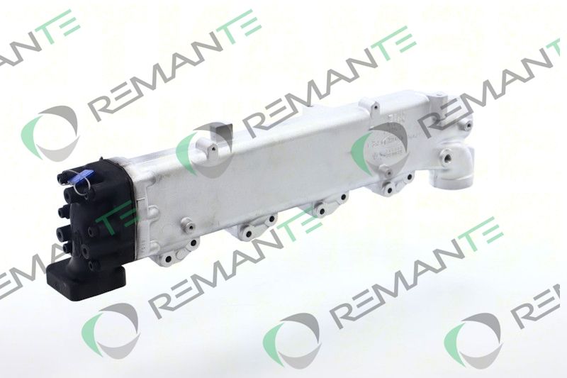 REMANTE 010-001-000003R EGR Module