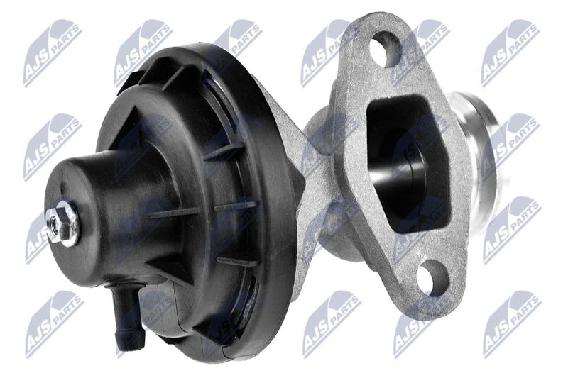 EGR-VW-015_2-WM.JPG