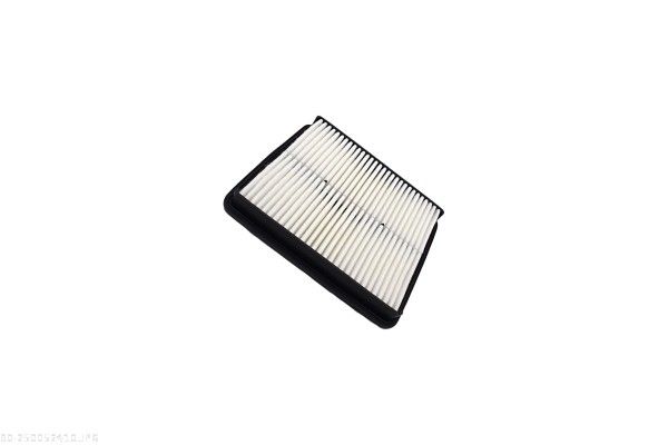 AUTOMEGA 250052410 Oro filtras