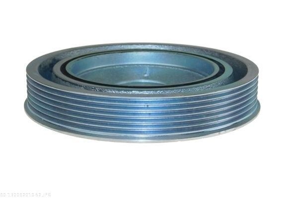 AUTOMEGA 130092010 Belt Pulley, crankshaft