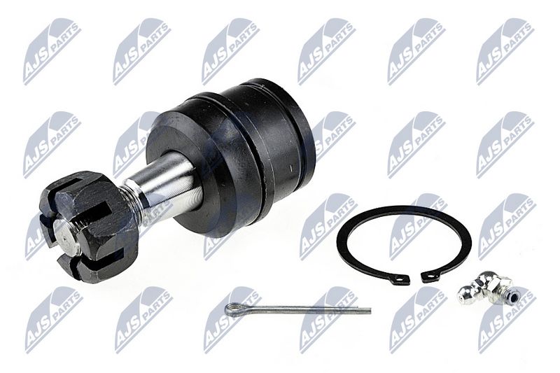 Kande-, juhtliigend, NTY ZSD-CH-003A