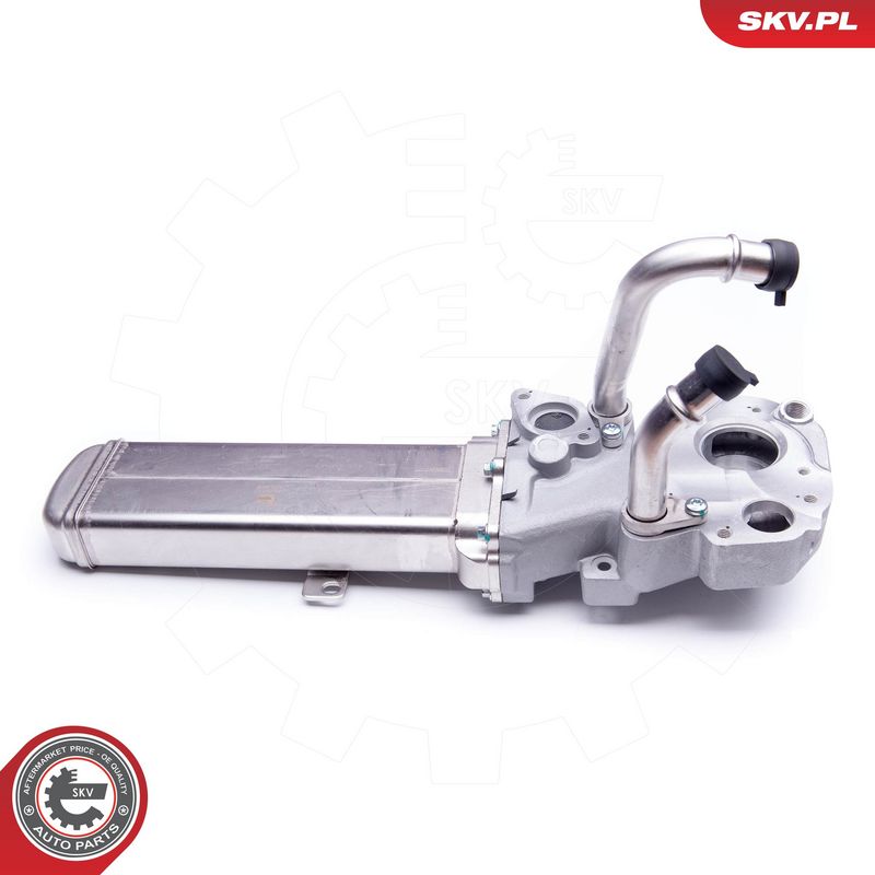 EGR-klapp, ESEN SKV 14SKV137