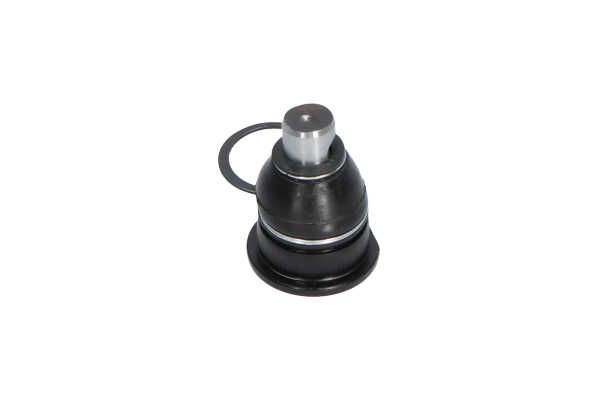 Kavo Parts SBJ-10011 Šarnyras