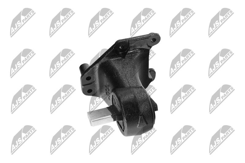 Paigutus, Mootor, NTY ZPS-CH-173