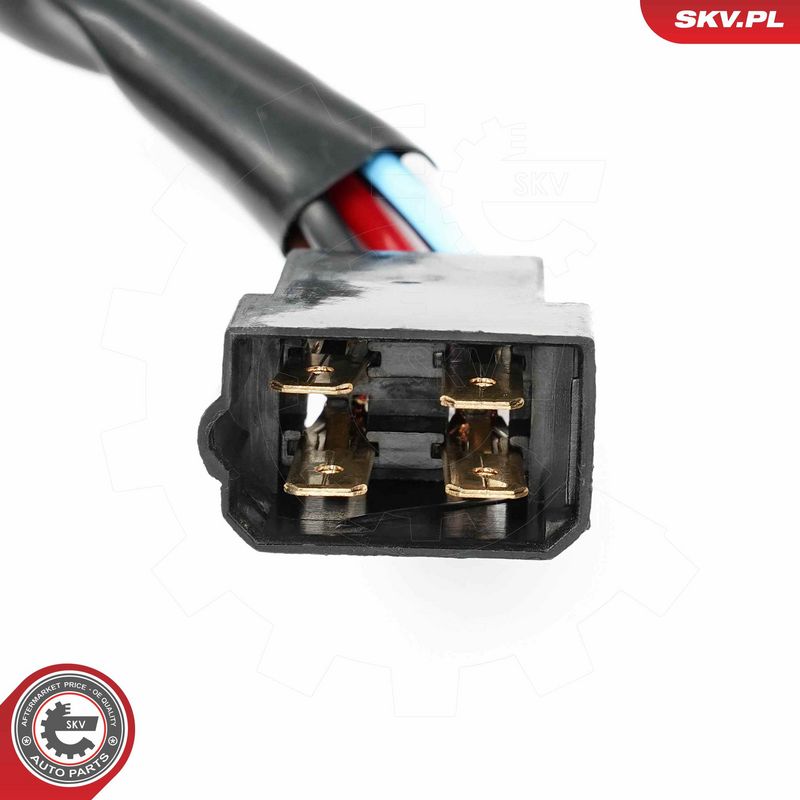 Roolilukk, ESEN SKV 65SKV556