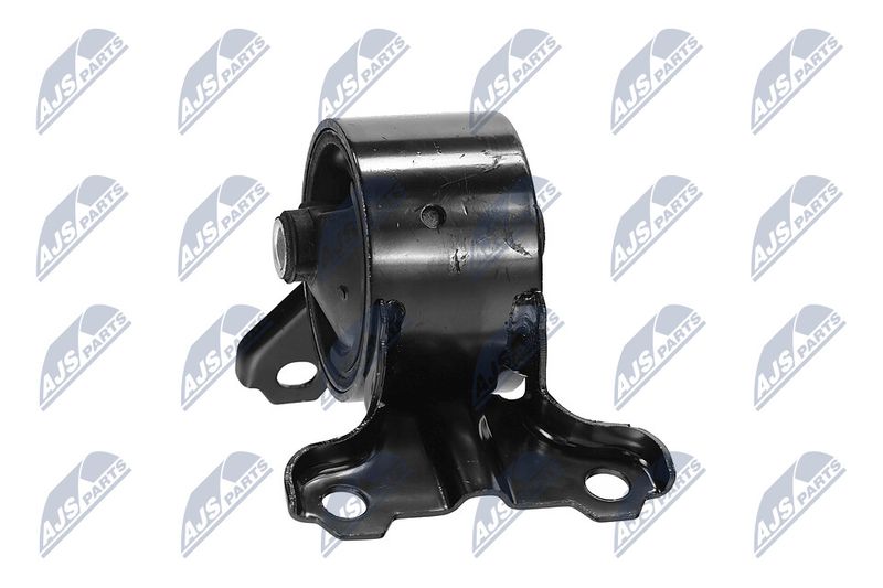 Paigutus, Mootor, NTY ZPS-CH-179