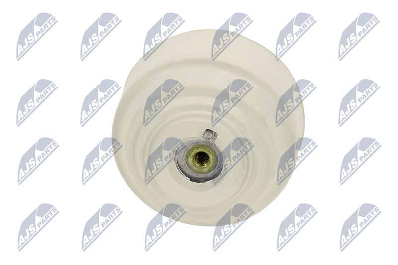 Paigutus, Mootor, NTY ZPS-ME-102