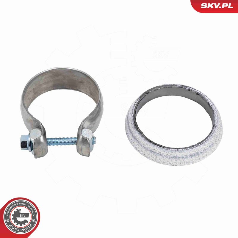 ESEN SKV 62SKV166 Catalytic Converter